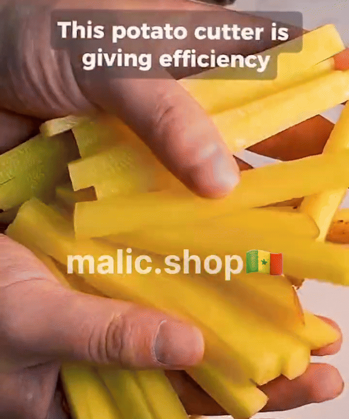 Découpeuse de frites et légumes