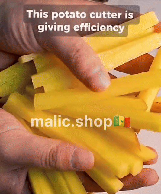 Découpeuse de frites et légumes